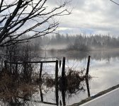 IMG_2989a.jpg