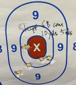 SteyrGB_5x124gr@10yds01.jpg