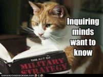 Inquiring.jpg