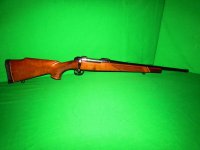 BSA-Majestic-9-scaled.jpg