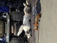 IMG_0665.jpg