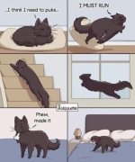 cat puke.jpg
