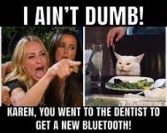 karen bluetooth.jpg