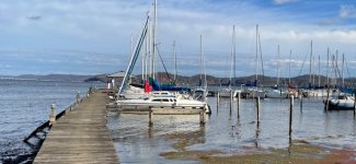 IMG_7906.jpg