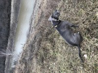 IMG_8379.jpg