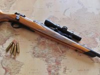 Rem. 660 .350 Mag. LoudenBoomer 003 - Copy.jpg