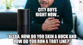FB_IMG_1707055194067.jpg