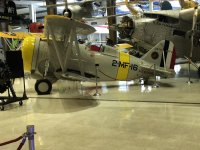 IMG_4696.jpg