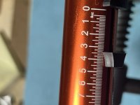 IMG_9798.jpg