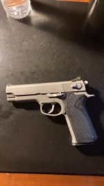 S&W 4566.JPG