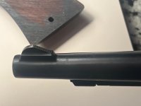 Front sight .jpg