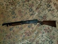 20200711_180926.jpg