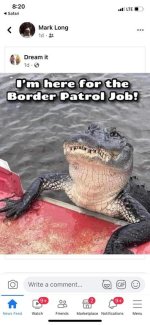 gator.jpg