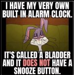 Image 2.jpeg