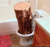 log.jpg