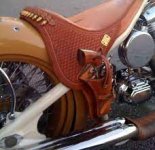 bikeholster.jpg