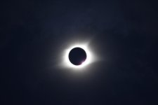 2017-08-21 Solar Eclipse - Marshall Co Kentucky  (32).jpg