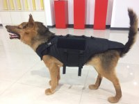 dogvest.jpg