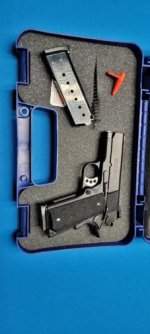 SW1911 Professional.jpg