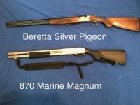 12guageshotguns.jpg