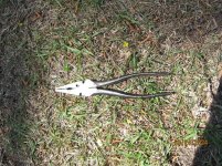 IMG_4245.jpg