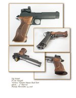 Sig P210 Target_comp.jpg