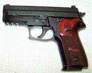P229-40.jpg