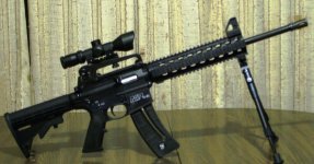 M & P 15-22with a NCstar 3x9x42  and bipod resize.jpg