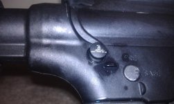 IMAG0229.jpg