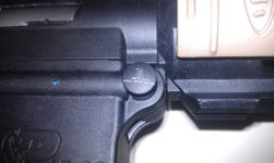 IMAG0230.jpg