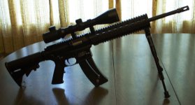 M & P 15-22 with bipod and NcStar  3x12 x 50E scope resize.jpg
