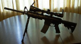 M & P 15 with bipod and cp 4 x 16 x 40 scope resize.jpg