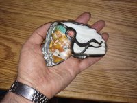 IMG_20240101_220009008.jpg