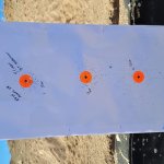 41 mag DT Snakeshot.jpg