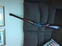 my336-2.jpg