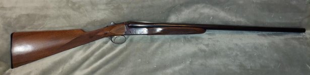 BSS 20 sporter.jpg