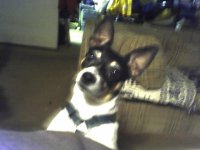 12-26-06_2104.jpg