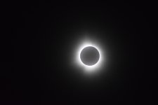 DSC_2803 SSS.jpg