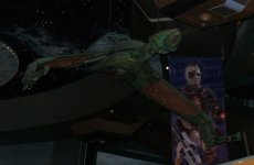 BirdofPrey02.jpg