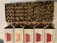 38ACP Unprimed#2.jpg