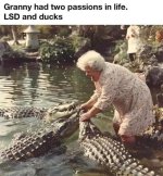 Granny's passions.jpg