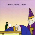 Merlin's other brother.JPG