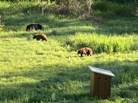 IMG_3430.JPG