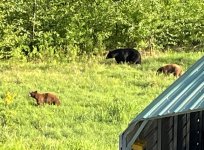 IMG_3436.JPG