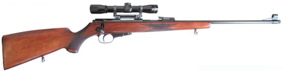 Walther KKJ QD Mount & Leupold Scope.jpg