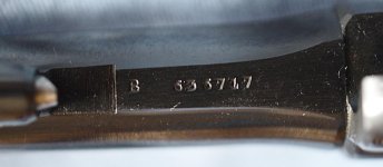 IMG_2316.jpg