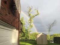 IMG_0626.jpg