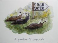 Free beer.JPG