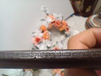 IMG_20240527_093651.jpg