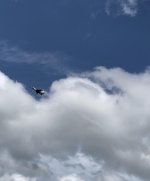 IMG_3846.jpg